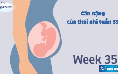 Thai 35 tuần nặng bao nhiêu là đạt chuẩn - Cân nặng thai nhi tuần 35